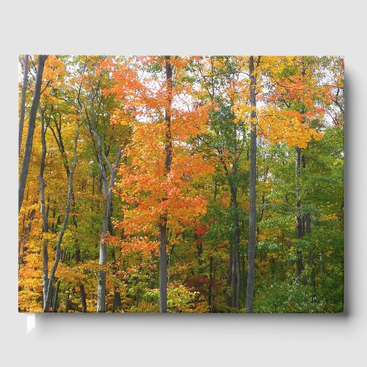 Herbst-Ahornbäume Herbstfotografie Gästebuch (Vorderseite)