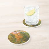 Herbst-Ahornbäume Herbstfotografie Getränkeuntersetzer (Seite)