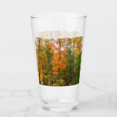 Herbst-Ahornbäume Herbstfotografie Glas (Vorderseite)
