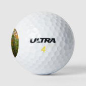 Herbst-Ahornbäume Herbstfotografie Golfball (Logo)