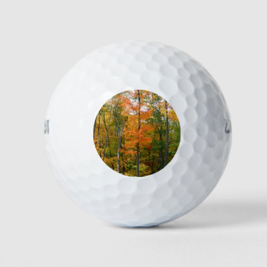 Herbst-Ahornbäume Herbstfotografie Golfball (Vorderseite)