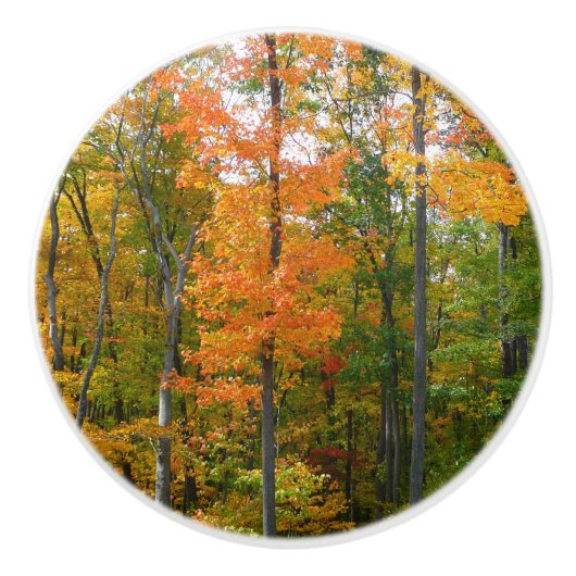 Herbst-Ahornbäume Herbstfotografie Keramikknauf (Vorderseite)