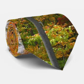 Herbst-Ahornbäume Herbstfotografie Krawatte (Gerollt)