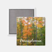 Herbst-Ahornbäume Herbstfotografie Magnet (Vorderseite/Rückseite)