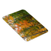 Herbst-Ahornbäume Herbstfotografie Magnet (Rechte Seite)