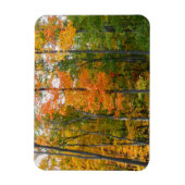 Herbst-Ahornbäume Herbstfotografie Magnet (Vertikal)