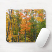 Herbst-Ahornbäume Herbstfotografie Mousepad (Mit Mouse)