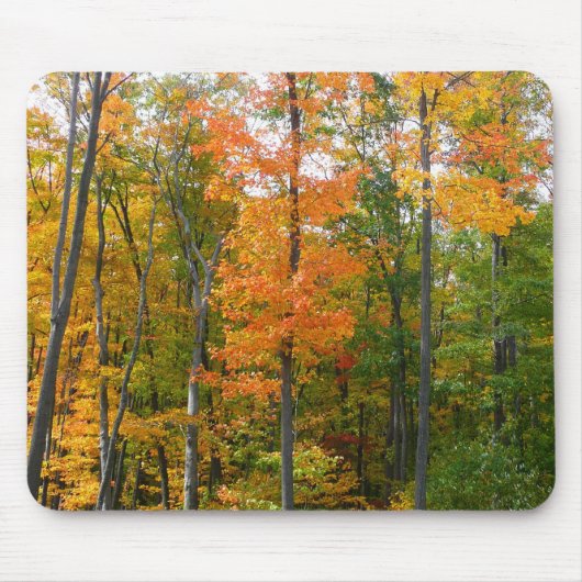 Herbst-Ahornbäume Herbstfotografie Mousepad (Vorne)