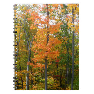 Herbst-Ahornbäume Herbstfotografie Notizblock