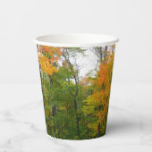 Herbst-Ahornbäume Herbstfotografie Pappbecher (Rückseite)