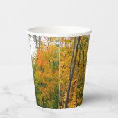 Herbst-Ahornbäume Herbstfotografie Pappbecher (Rechts)