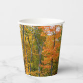 Herbst-Ahornbäume Herbstfotografie Pappbecher (Vorderseite)