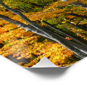 Herbst-Ahornbäume Herbstfotografie Poster (Ecke)