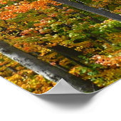 Herbst-Ahornbäume Herbstfotografie Poster (Ecke)