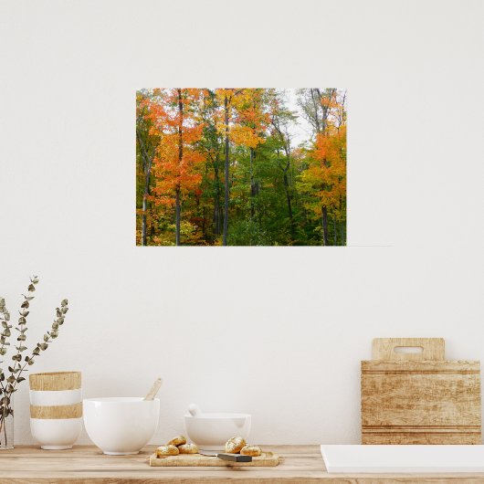 Herbst-Ahornbäume Herbstfotografie Poster (Küche)