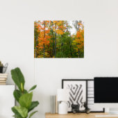Herbst-Ahornbäume Herbstfotografie Poster (Heimbüro)