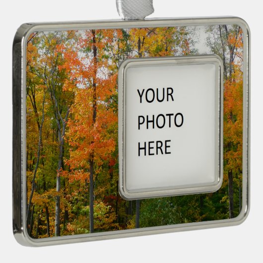 Herbst-Ahornbäume Herbstfotografie Rahmen-Ornament Silber (Rechts)