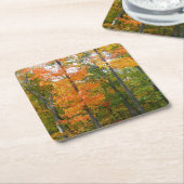 Herbst-Ahornbäume Herbstfotografie Rechteckiger Pappuntersetzer (angewinkelt)