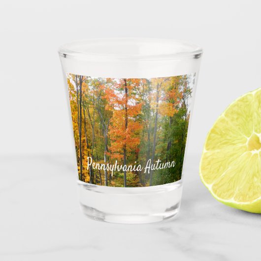 Herbst-Ahornbäume Herbstfotografie Schnapsglas (Vorderseite)