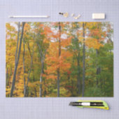 Herbst-Ahornbäume Herbstfotografie Seidenpapier (Handwerk)