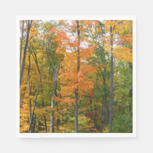 Herbst-Ahornbäume Herbstfotografie Serviette