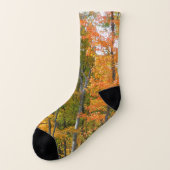 Herbst-Ahornbäume Herbstfotografie Socken (Links - Außen)