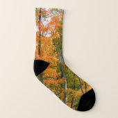 Herbst-Ahornbäume Herbstfotografie Socken (Rechts - Außen)