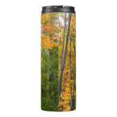 Herbst-Ahornbäume Herbstfotografie Thermosbecher (Rückseite)