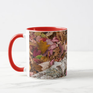Herbst-Ahornblätter bedecken Birkenrinde im Wald Tasse