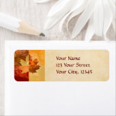 Herbst, Ahornleaf (Insitu)