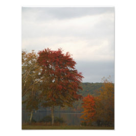 Herbst am Arrowhad-See. Fotodruck