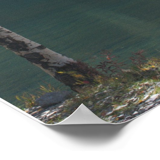 Herbst am Bärensee Poster (Ecke)