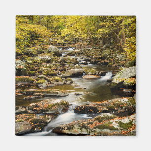 Herbst am Big Creek Magnet