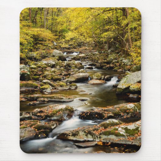 Herbst am Big Creek Mousepad (Vorne)