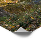 Herbst am Black Dog Lake Poster (Ecke)
