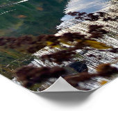 Herbst am Bubble Pond in Acadia Poster (Ecke)