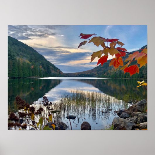 Herbst am Bubble Pond in Acadia Poster (Vorne)