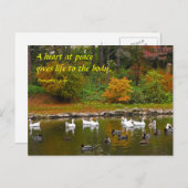 Herbst am Duckteich Postkarte (Vorne/Hinten)