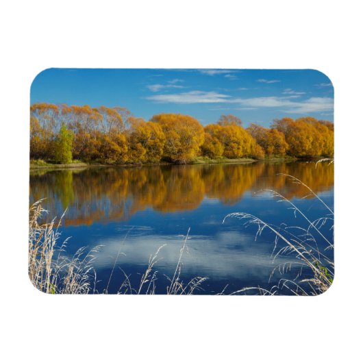 Herbst am Fluss Clutha Magnet (Horizontal)