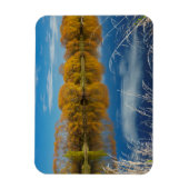 Herbst am Fluss Clutha Magnet (Vertikal)