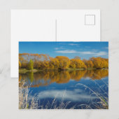 Herbst am Fluss Clutha Postkarte (Vorne/Hinten)