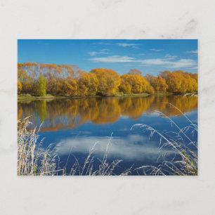 Herbst am Fluss Clutha Postkarte