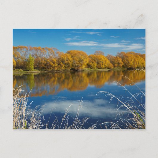 Herbst am Fluss Clutha Postkarte (Vorderseite)