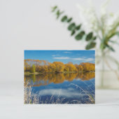 Herbst am Fluss Clutha Postkarte (Stehend Vorderseite)