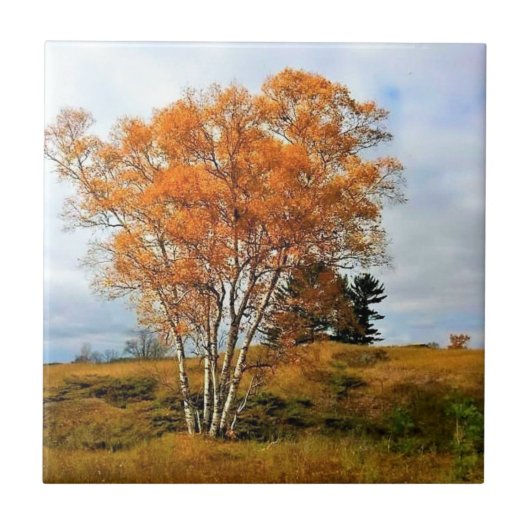 Herbst am Lake Michigan Fliese (Vorderseite)