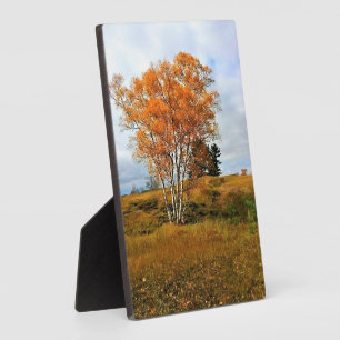 Herbst am Lake Michigan Fotoplatte