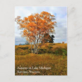 Herbst am Michigan Postkarte (Vorderseite)