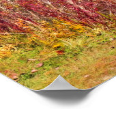 Herbst am See - Herbstlaube Poster (Ecke)