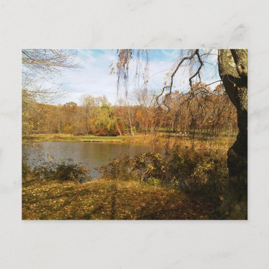 Herbst am See Postkarte (Vorderseite)