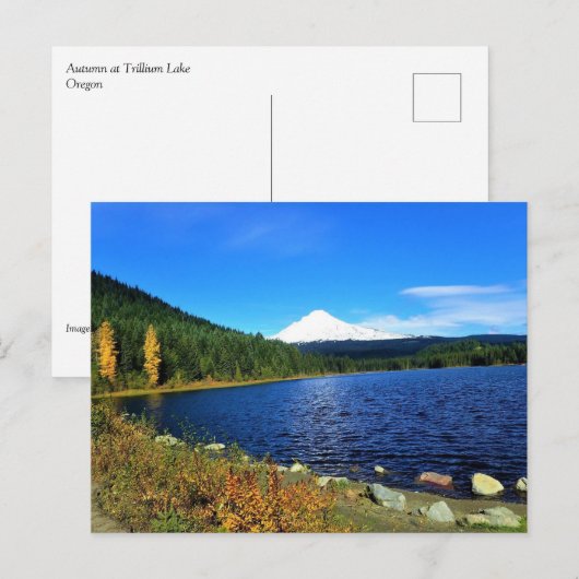Herbst am See Trillium oder Postkarte (Vorne/Hinten)